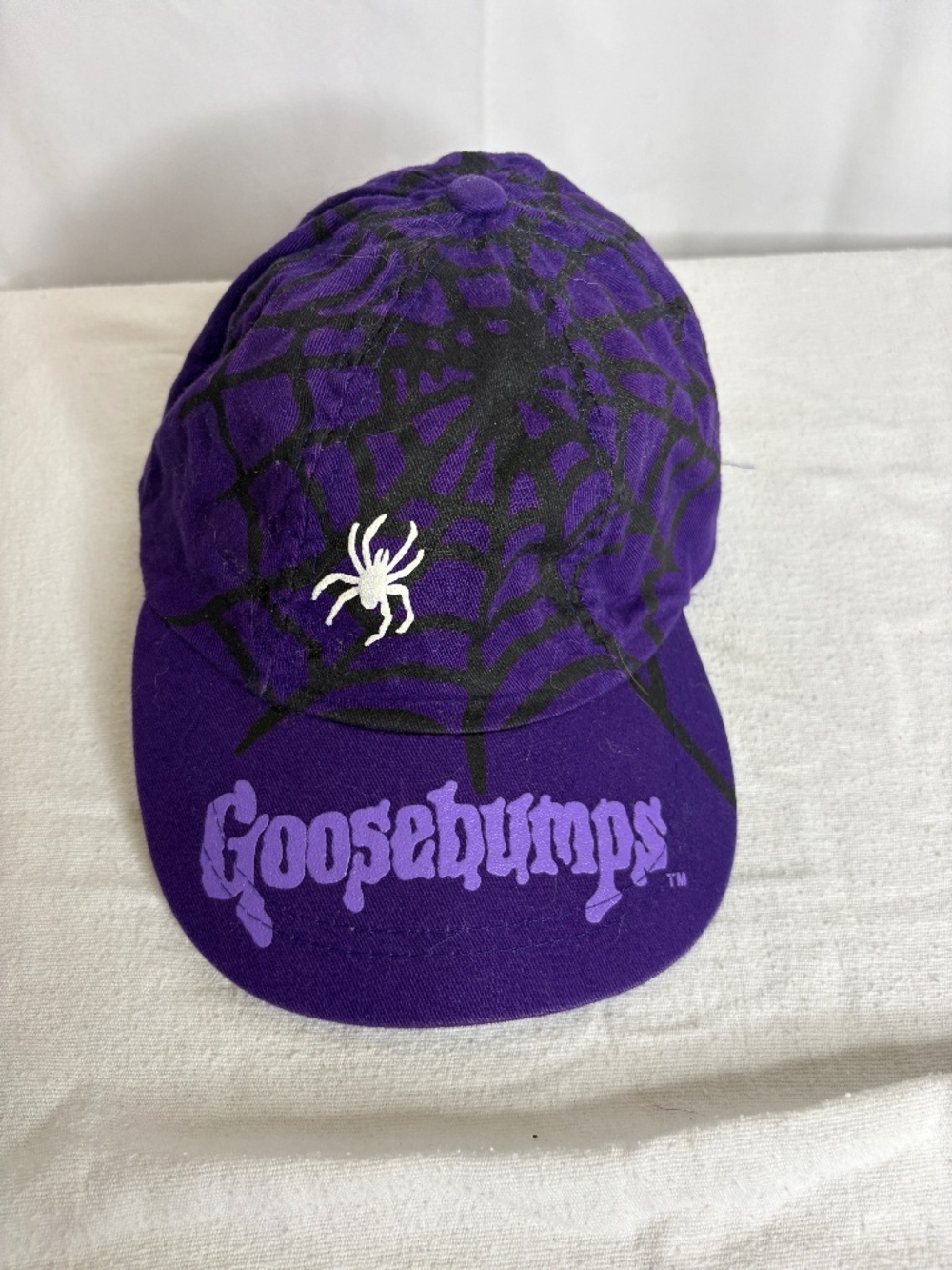 Vintage Y2K Goosebumps Purple w/Spider Hat youth size SnapBack RARE Glows